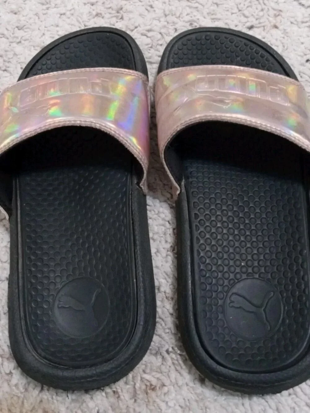 Puma cool cat